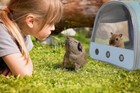 Guinea Pig Carrier Bag Small Animal Bird Parrots Ferret Hamster Backpaack