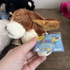 Webkinz Lot With Codes