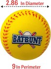 9  Foam Softballs For Kids - Beginner Baseball Practice  Multi-color Set