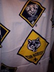 Bsa Cub Scouts Ooak Jennick Stadium Throw - Tiger  Bobcat  Wolf  Bear  Webelos 