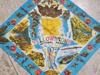    vintage 50s Yellowstone National Park Souvenir Scarf Japan Nylon Map Bear 26x26