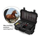 Equine Back Pain Physio Magneto Therapy Pmst Loop For Horse Rehabilitation