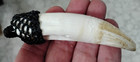 Very Large Real 9 5cm Saltwater Crocodile Tooth  Hand-embroidered Fastening Cap 