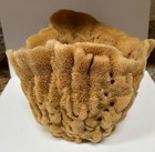 Large Bowl Shape Natural Sea Sponge Ocean Life Florida 11  Tall X 11  Wide X 10 