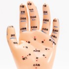 Pediatric Hand Massage Acupoint Model Traditional Chinese Medicine Teaching