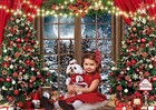  Winter Christmas Photography Backdrop Xmas Rustic Wooden Window Full 7x5ft