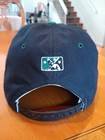 Vintage Minor League Baseball Michigan Battlecats Snapback Hat Cap
