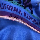 Rare California Republic Arnold Schwarzenegger Glass Flag With Case
