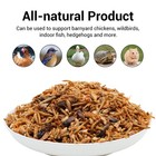 Mighty Crunch Mix Aquatic Turtle Food 1lb High Protein Insect Blend For Turtles
