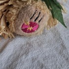 Bearfoot Hawaiian Collectibles Hula Bear Plush W  Tag   Passport