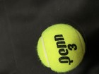 Amanda Anisimova Signed Penn Tennis Ball