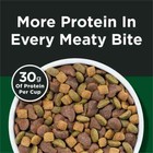 Purina Dog Chow High Protein Muscle Support Dry Dog Food With Real Beef  18 Lb B