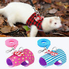 Leash Ferret Harness Guinea Pig Hamster Squirrel Rat Rabbit Clothes
