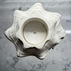 Vintage Coastal Resin Seashell Votive Candle Holder On Black Pedestal 11  Tall