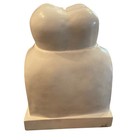 Crest Toothpaste Plaster Tooth Advertising Figure 7  50s 60s Dentist Office Vtg