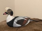Ducks Unlimited  1 Old Squaw Drake Full Size Decoy By Jude Brunet Nib