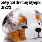 Frankiezhou Australian Shepherd Dog Plush-14inch Realistic Medium  Gray 