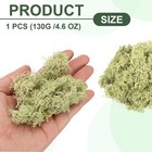 4 6oz Preserved Reindeer Moss  Light Bright Green Decorative Artificial Moss