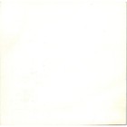 Vintage Original Photograph Treeing Walker Coonhound 3 5  Se5