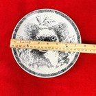 Vintage Wild Animal Park Koala Plate Gotschalk San Diego Zoo 1989