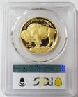 2006 W Gold  50 American Buffalo 1 Oz Pcgs Pr 70 Dcam