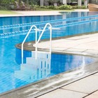 Pool Stair Ladder With 4 Steps And 2 Handrails For Above Ground Swimming Pool