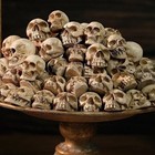 20 Pcs Mini Skull Heads  For Halloween Decorations  Garden   Diorama Crafts