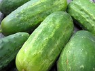 60 Heirloom Arkansa s Litte Leaf Cucumber Seeds High Yield- Compact Bush Variety