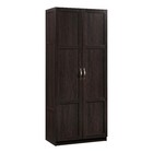 Sauder Select Engineered Wood Storage Cabinet In Cinnamon Cherry Finish
