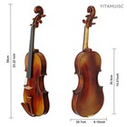 An Advanced Guarneir Model 4 4violin strong Deep Suit For Solo