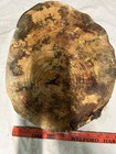Maple Wood Bowl Turning Blank 14   X 11   X 3 3 4   Great Craft Project Wood
