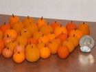 Dollhouse Miniature Fall Halloween Pumpkins 6pc 1 12 Scale B68 Dollys Gallery