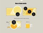 7 Auto Honey Beehive Frames Upgraded Honey Comb Bee Frames Beekeeping Frames Usa