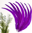 50pcs Rooster Coque Tail Feathers Bulk Natural 12-14inch 30-35cm For Crafting We