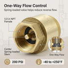 1 2 Inch Npt Female Brass Check Valve Inline Spring One Way Non Return 200 Psi