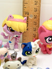 15 Pieces Littlest Pet Shop Cat Kitty Kitten Feline Mini Miniature Figures Lot