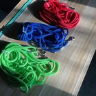 30 Foot Leash - Dog puppy Obedience Recall Training Agility Lead - Hiking