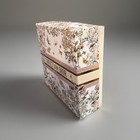 Dior Butterflies roses Empty 8 5x8 5x3 Gift Box W  Envelope - 2025 Mother   s Day