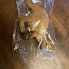 Outback Steakhouse Kangaroo    