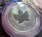 2024 Rcm Treasured Maple Leaf    first Strikes        Fireworks Privy    limited Edition