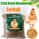Dried Mealworms Bulk Non-gmo Organic For Wild Blue Bird Food Chickens Hen Treats