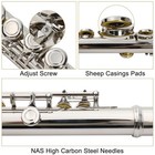 Plated School Band Student 16 Closed Hole C Flute Set Silver For Beginner