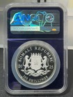 2025 Somalia S100s Ngc Ms70 Elephant African Wildlife
