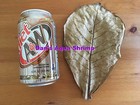 Organic Catappa Indian Almond Leaves Crystal Cherry Shrimp Ph Buffer Adjustment