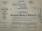 1910 Bradshaw Mining   Milling Co  Stock Certificate  344  Utah
