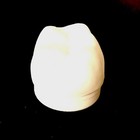 3d Printed Tooth Shaped Baby Tooth Storage Box With Lid