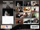 Tuxedo Cat Calendar 2026 Monthly Wall Calender 12 Month Gifts For Cats 