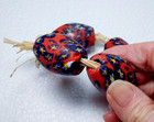 Rare Large Red Vintage Venetian African Trade Star Beads 4 Pc  34x25mm