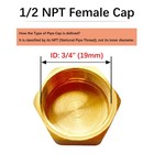Brass Pipe End Caps 1 2  Npt Hex Compression Cap Female 1 2  Npt  