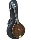 Eastman Md305 A-style Mandolin Adirondack- Amberburstraditional Standard Neck